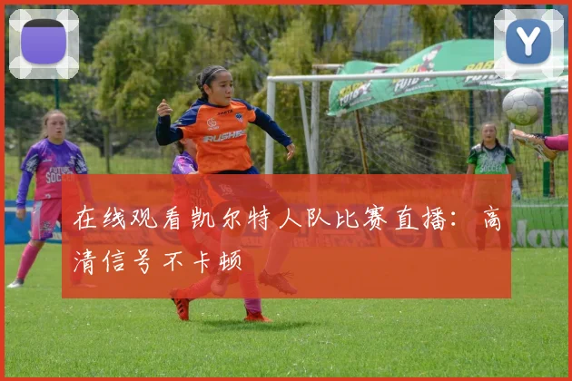 在线观看凯尔特人队比赛直播：高清信号不卡顿